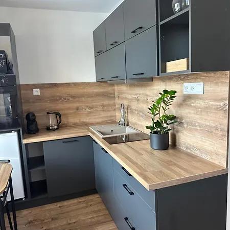 Apartment Apartmanovy Bakossova *