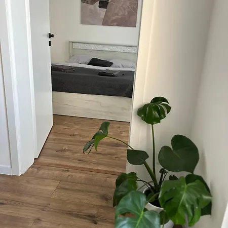 Apartmanovy Bakossova بانْشكا بيشتريتْسا