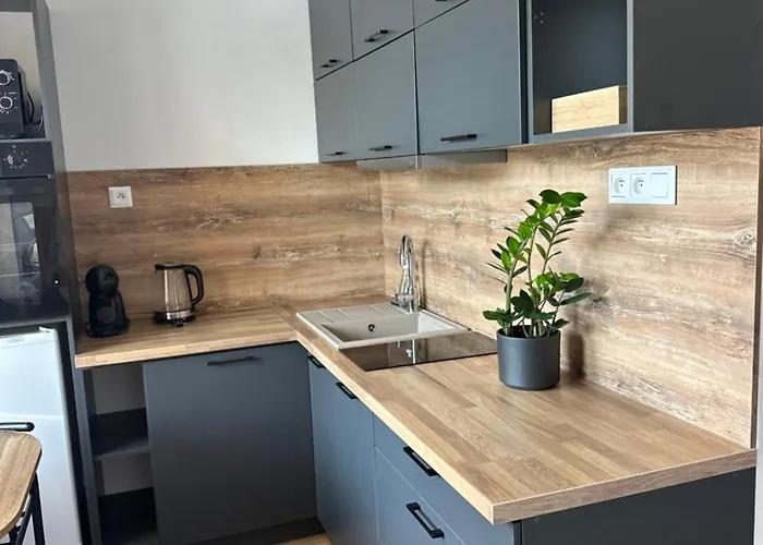 아파트 Apartmanovy Bakossova *